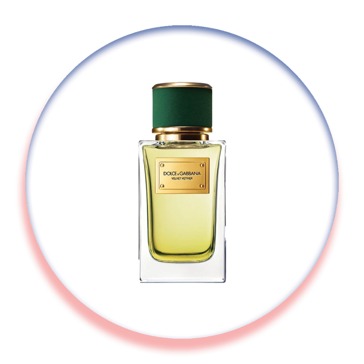 عطر ادکلن دولچه گابانا ولوت وتیور