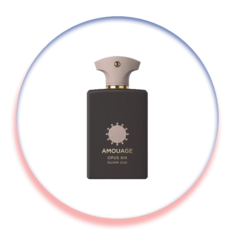 عطر ادکلن آمواج سیلور عود